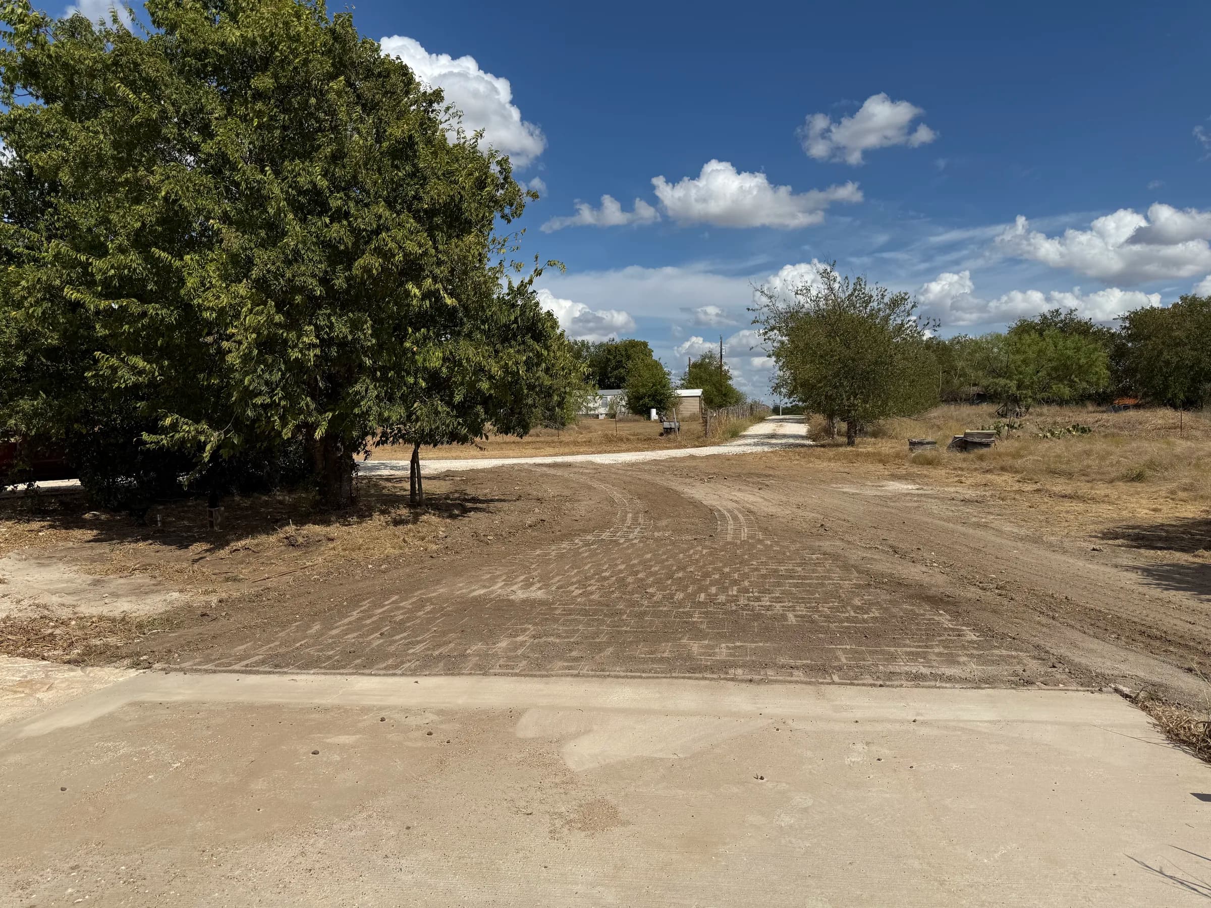 Curved Grasscrete driveway at White Hall, viewed toward the property entrance